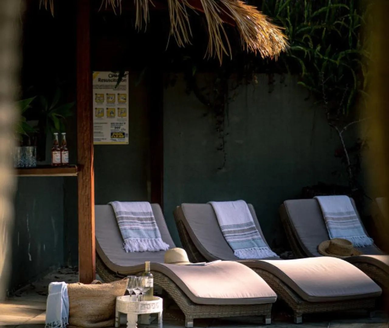 Holiday home Cape Byron Suite 5 Private Suite With Ensuite Byron Bay